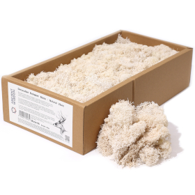 Kvalitní Dekorativní Mech - Naturální - 635g Box